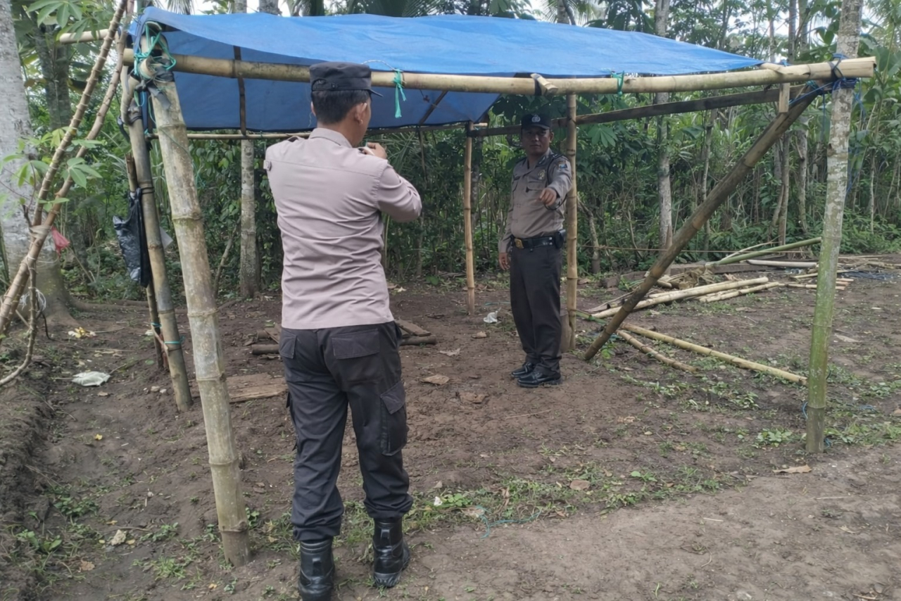 Polres Malang Kembali Bongkar Area Sabung Ayam di Kalipare