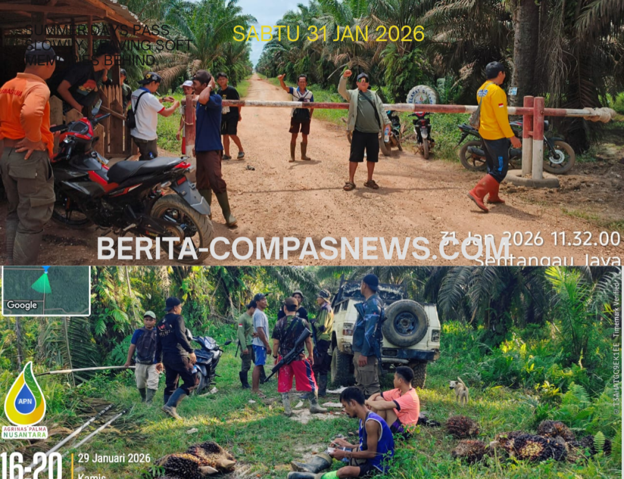 “Ninja Sawit” Menjamur, Hukum di Kebun APN Bengkayang Dinilai Tebang Pilih