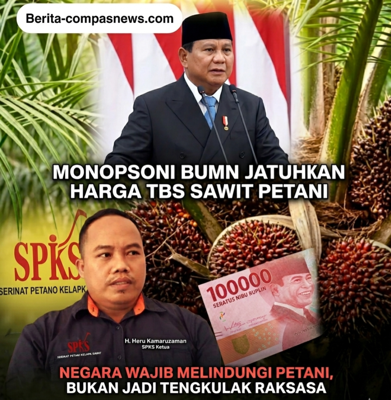 KADO PAHIT PP EKSPOR SATU PINTU: RAKYAT BERKORBAN DEMI AMBISI MONOPSONI BUMN