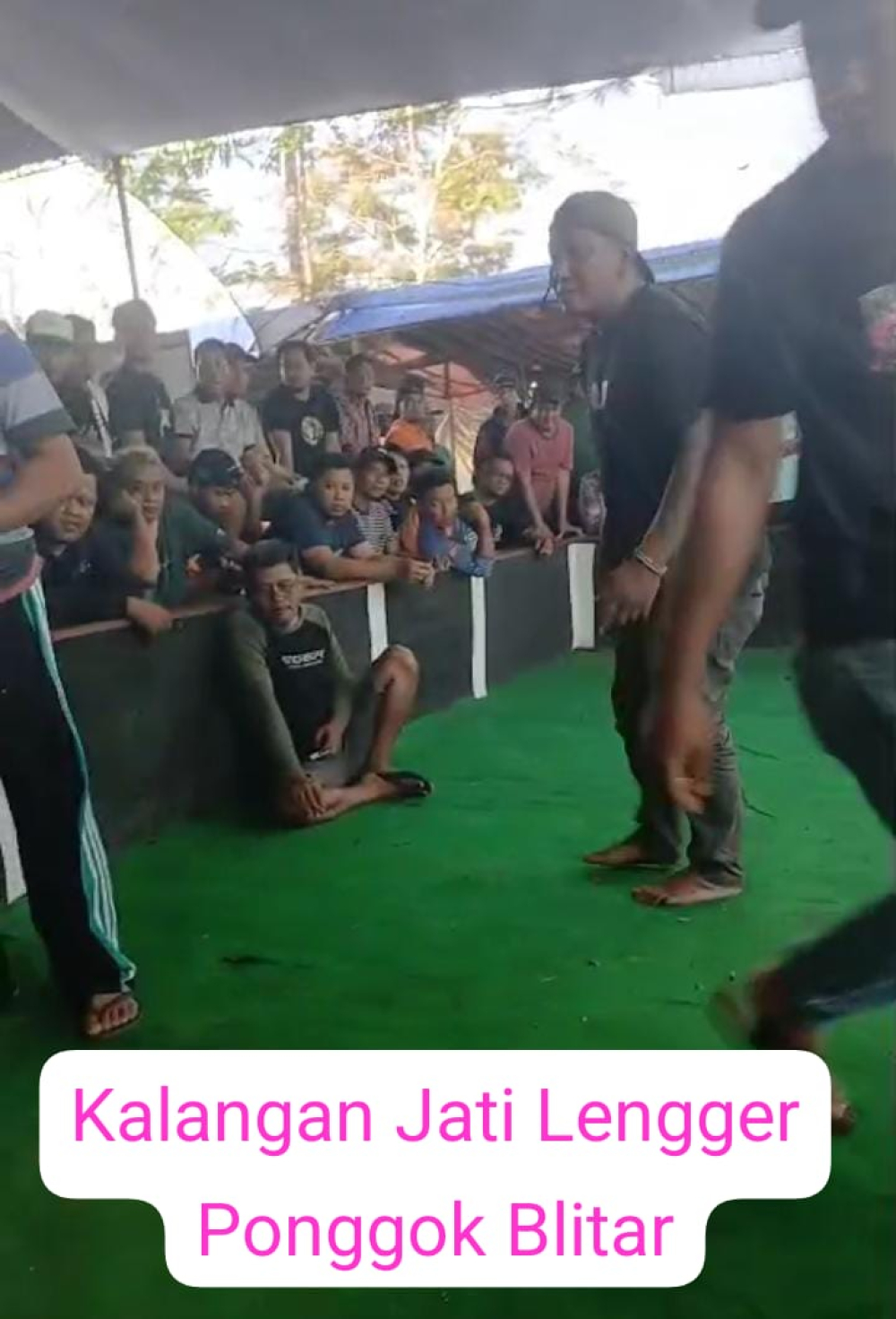 Diduga Marak, Aktivitas Judi Sabung Ayam di Kabupaten Blitar Disorot Warga, Aparat Didesak Bertindak