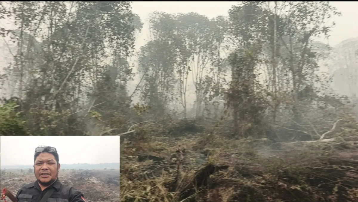 Diduga Karhutla Konsesi PT Mayawana Persada Merembet Masuk ke Area Kebun  Baru PT Jalin Vaneo, GM Martua Siahaan Bantah