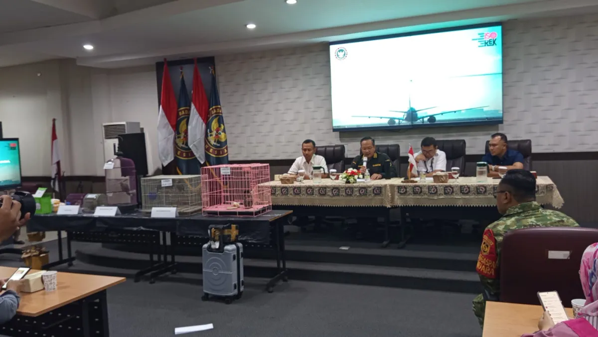 Dua Hari Beruntun Satwa Diselundupkan Lewat Juanda, Petugas Gagalkan Monyet dan 6 Satwa Hidup