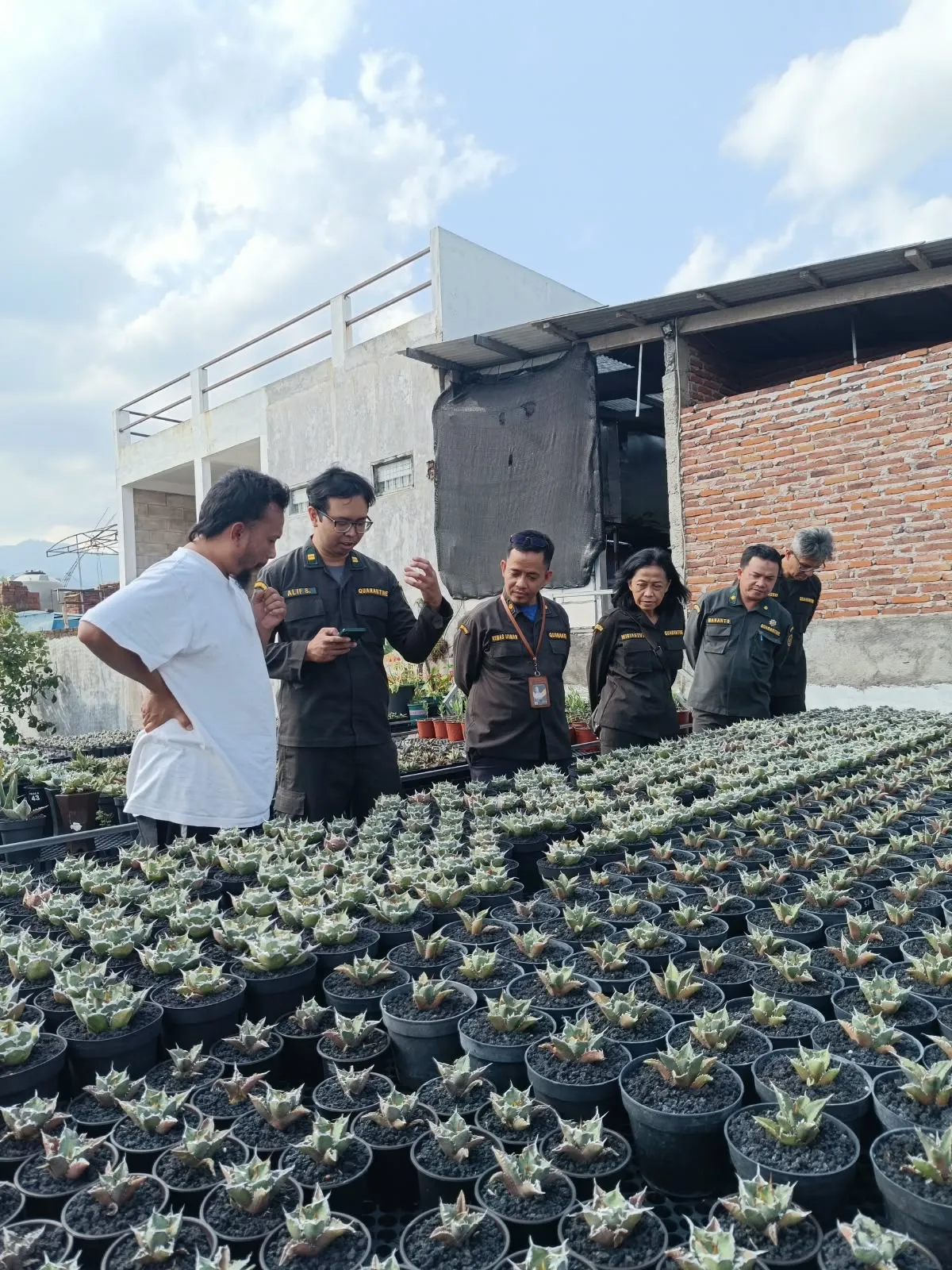 Jaga Ekspor Tanaman Hias Jatim Senilai Rp9,21 Miliar, Barantin Benahi Traceability dari Nursery