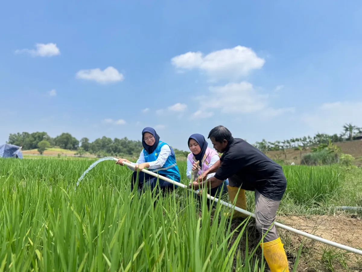 Jelang Hari Kesaktian Pancasila, Electrifying Agriculture PLN Bantu Jaga Produktivitas Petani di Musim Kemarau