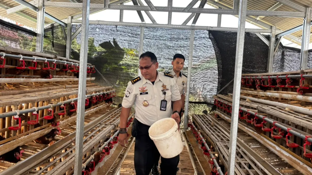 HASIL PEMBINAAN Lapas Kelas I Madiun Panen 60 Kilogram Lele dan 15 Kilogram Telur Ayam di Brandgang Ecopark