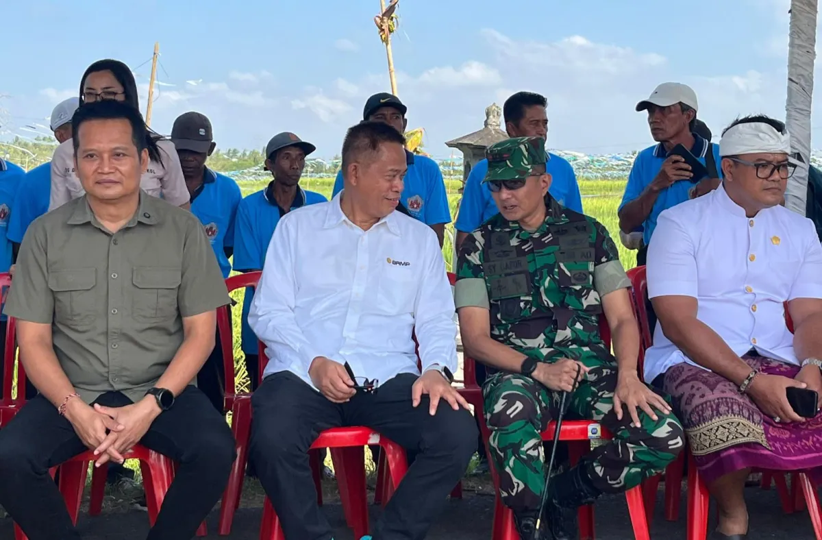Wujudkan Swasembada Pangan, Dandim Jembrana Hadiri Panen Padi Sistem PM-AAS di Desa Penyaringan