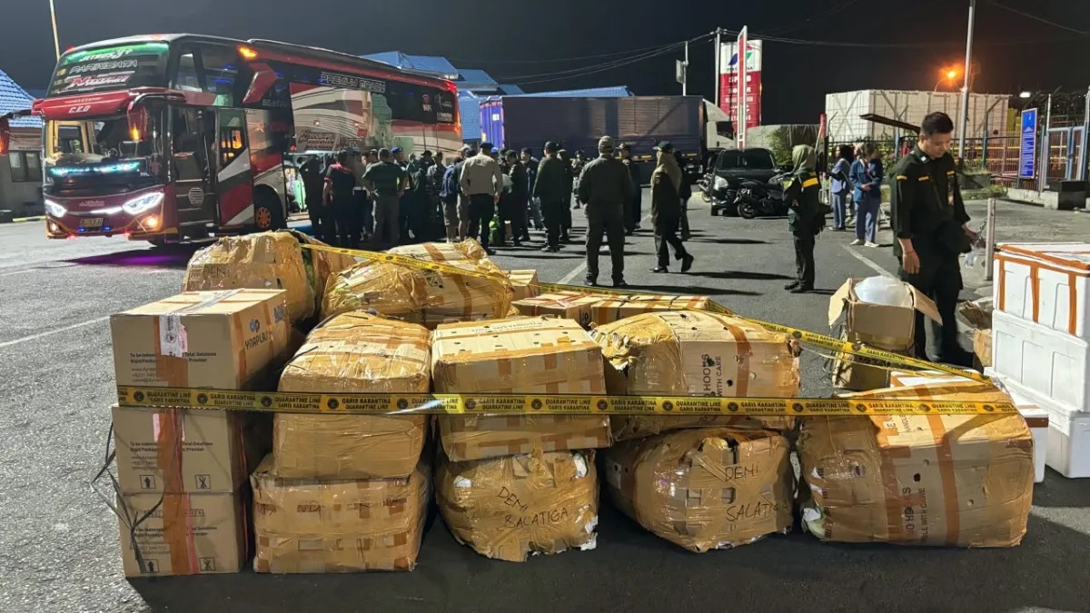 Patroli Malam di Ketapang, Barantin dan Tim Temukan Ayam dalam Tas hingga 1 Ton Selada Tanpa Sertifikat