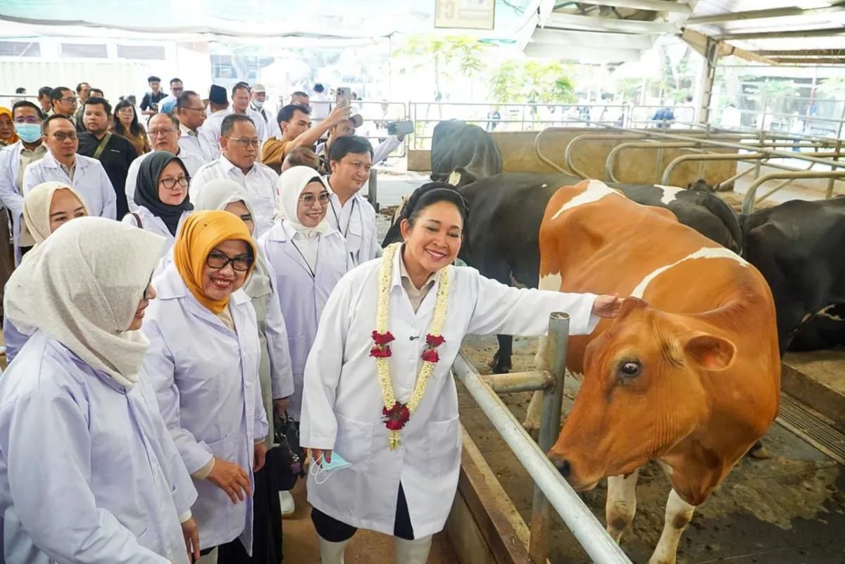 Jaga Pasokan Susu Nasional, Komisi IV dan Barantin Perkuat Biosekuriti Sapi Perah